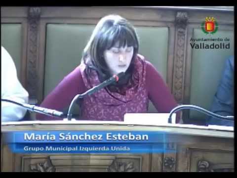 PROPUESTAS CONTRA VIOLENCIA DE GENERO. PLENO AYTO VALLADOLID 4 NOVIEMBRE 2014